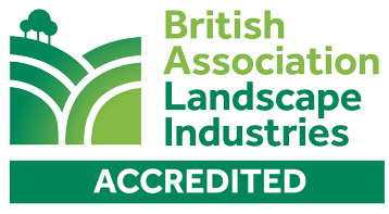 BALI Accredited500